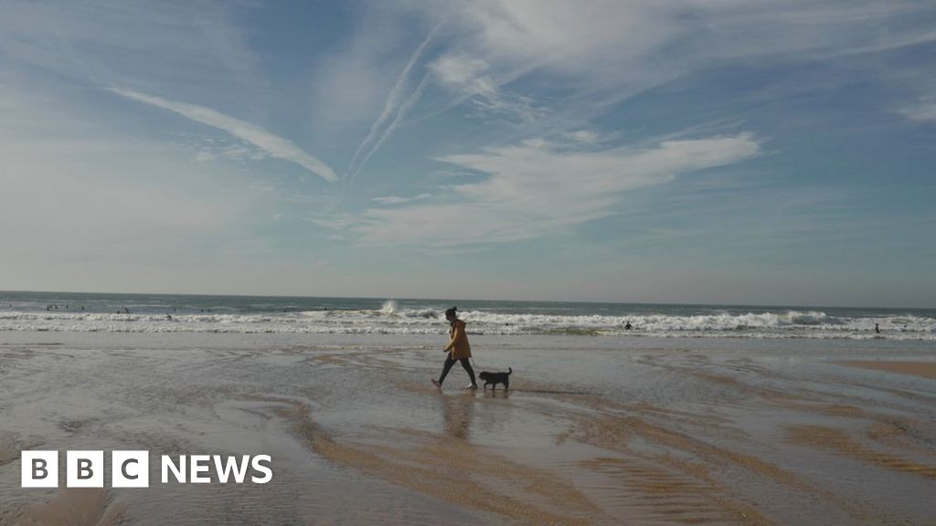 Dog campaign to tackle antisocial behaviour in Guernsey BBC News