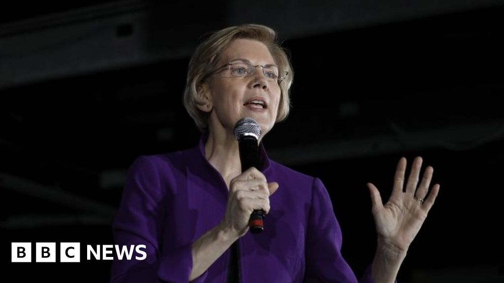 Warren: I will break up the tech giants