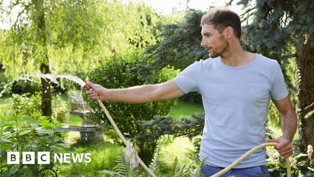 South East Water hosepipe ban Dos and don'ts BBC News