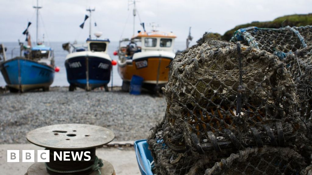 Irish Sea fishing quota rise worth £3.6m BBC News