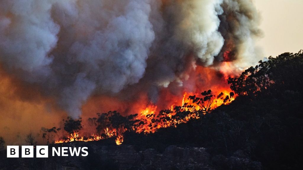 Climate change: Five things we've learned from the IPCC report - BBC News