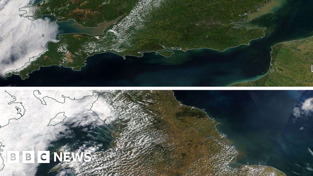 The dramatic effect of the UK heatwave BBC News