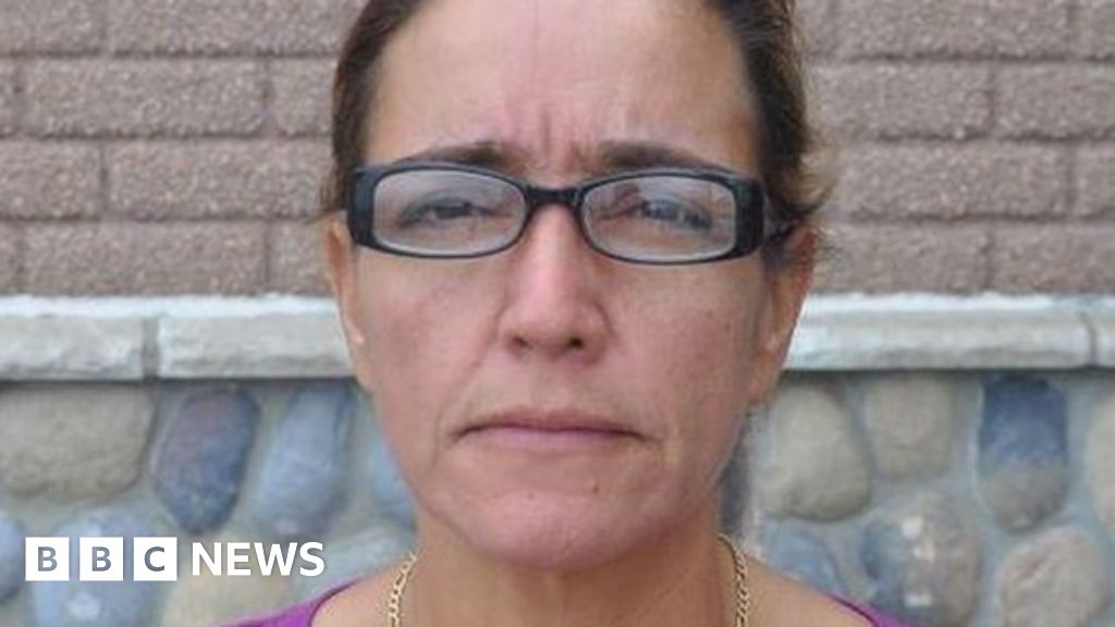 Michigan Woman Who Fired At Shoplifters Is Charged Bbc News