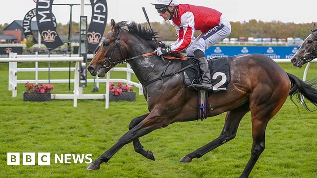 Carrutherstown Racing Stable Very Relieved To Return To Action Bbc News