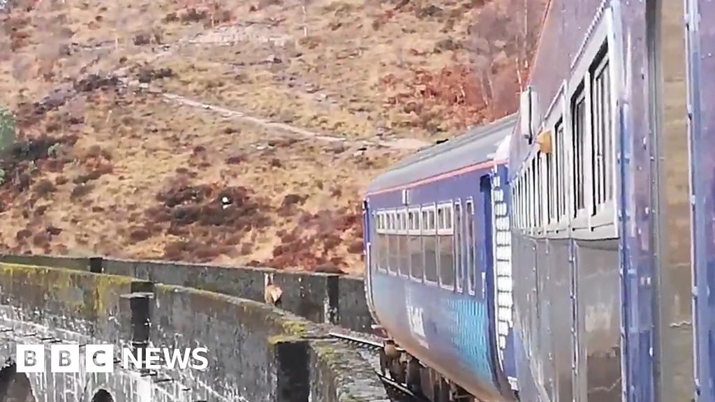 A ScotRail conductor captured footage of a stag running ahead of a train.