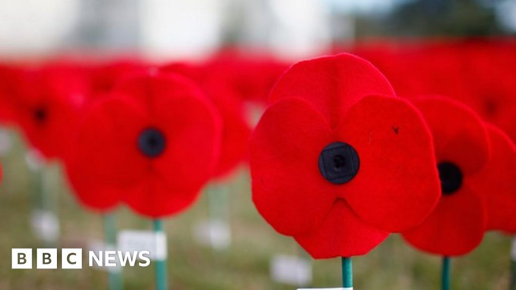 Has the core message of the Poppy Appeal been diluted?