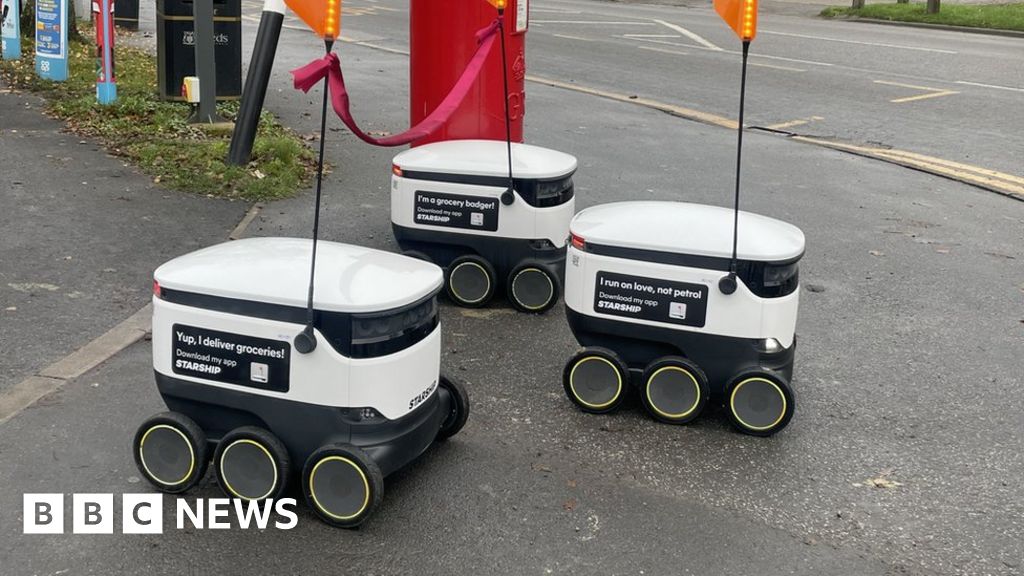 Making AI Delivery Robots Disability friendly And cautious Pedestrians 