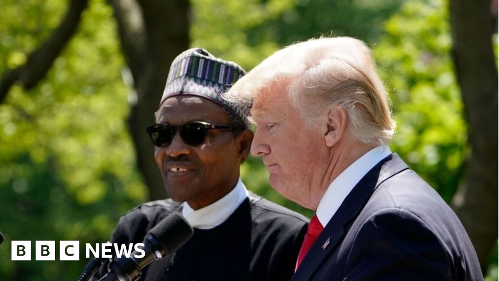 Trump And Nigerian President Buhari Deflect Awkward Question - BBC News