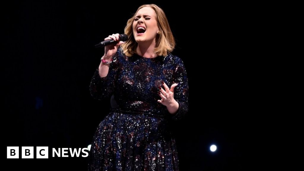 Adele Sorry After Fan Hurt At Sse Hydro Concert Bbc News