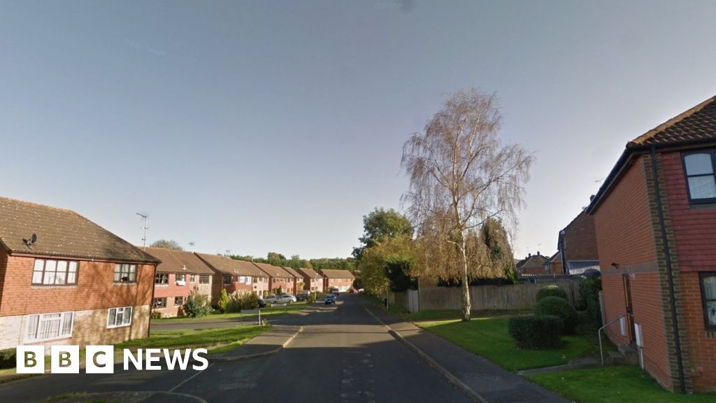 Mutilated squirrels found hanging from Sevenoaks telegraph pole - BBC News