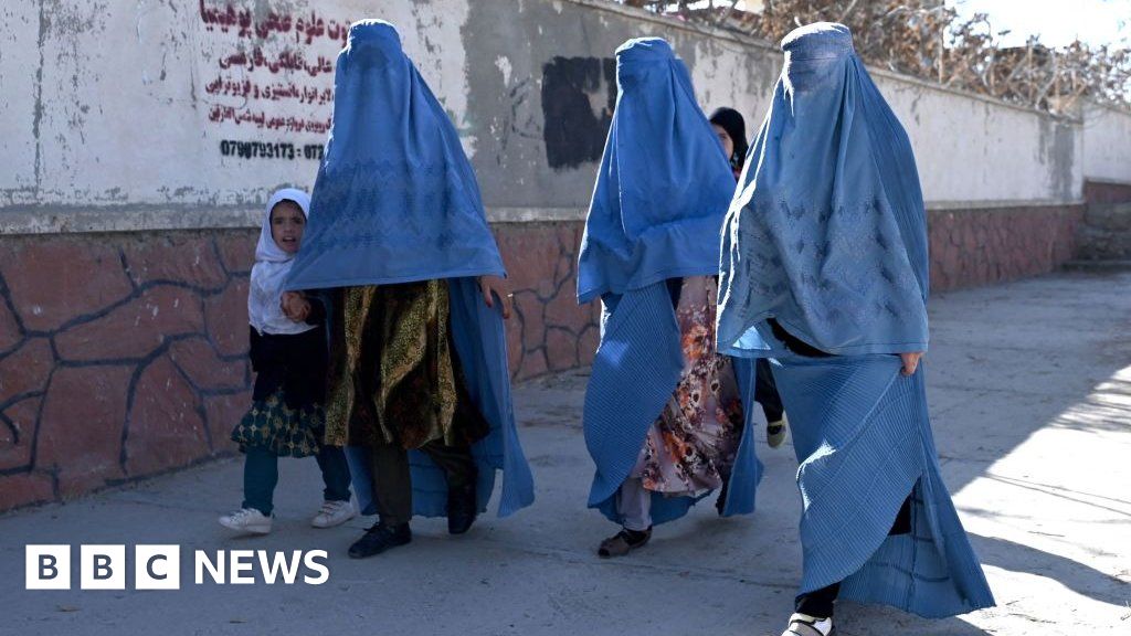 Afghanistan: Taliban bans women from working for NGOs