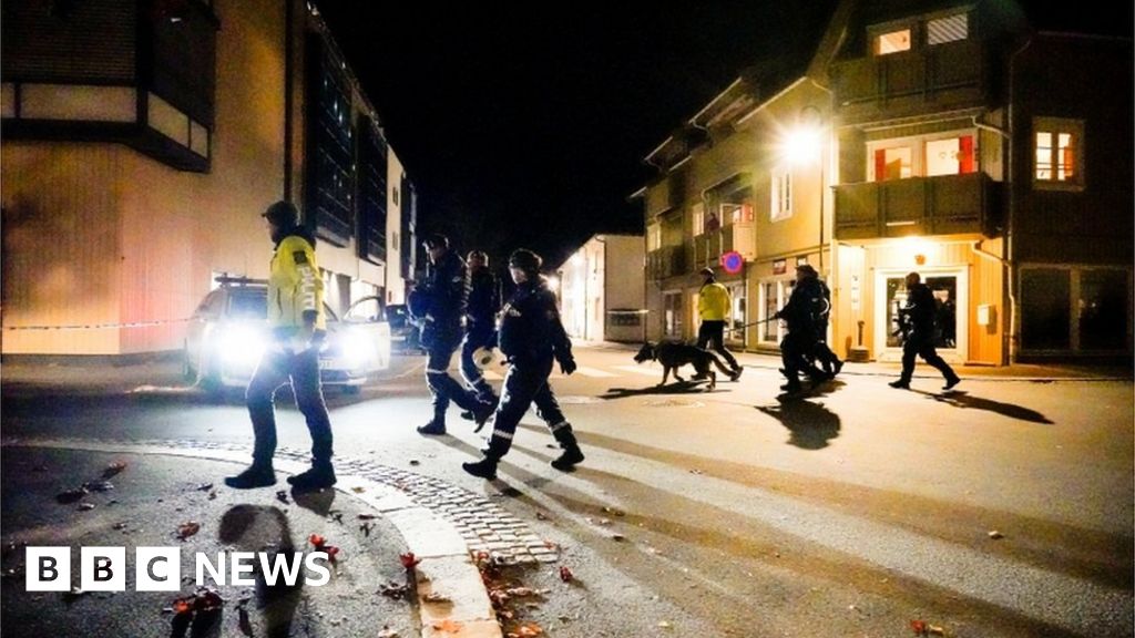 Kongsberg: Five dead in Norway bow and arrow attack