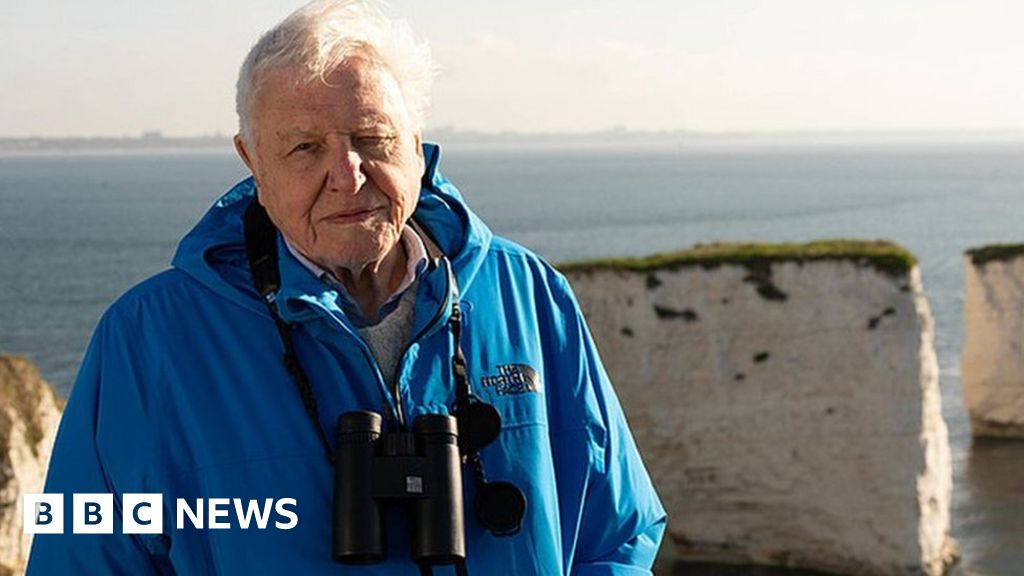 Attenborough's Wild Isles shows us our own 'spectacular' nature