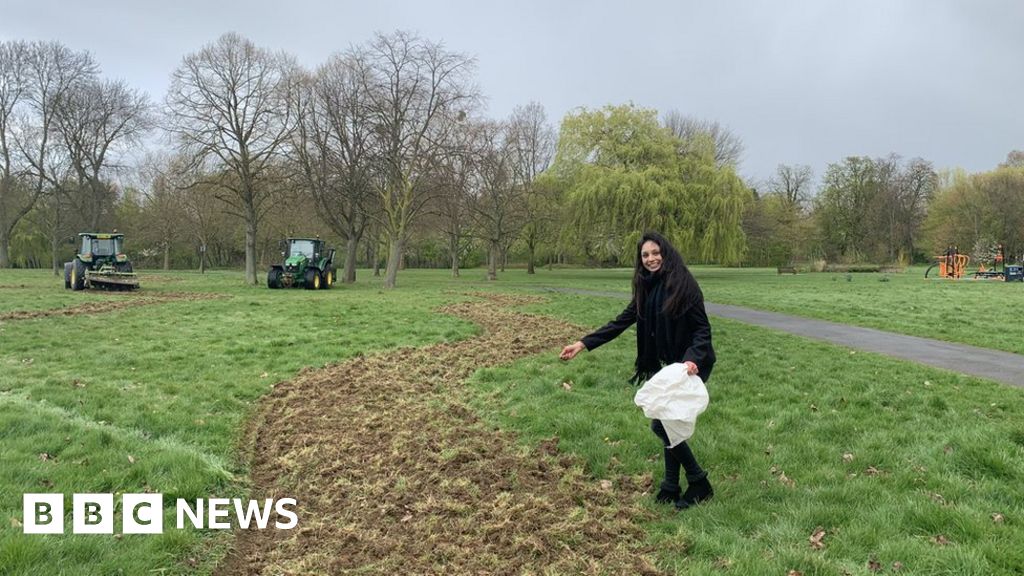 'Bee corridor' planted in London to boost insect numbers - BBC News