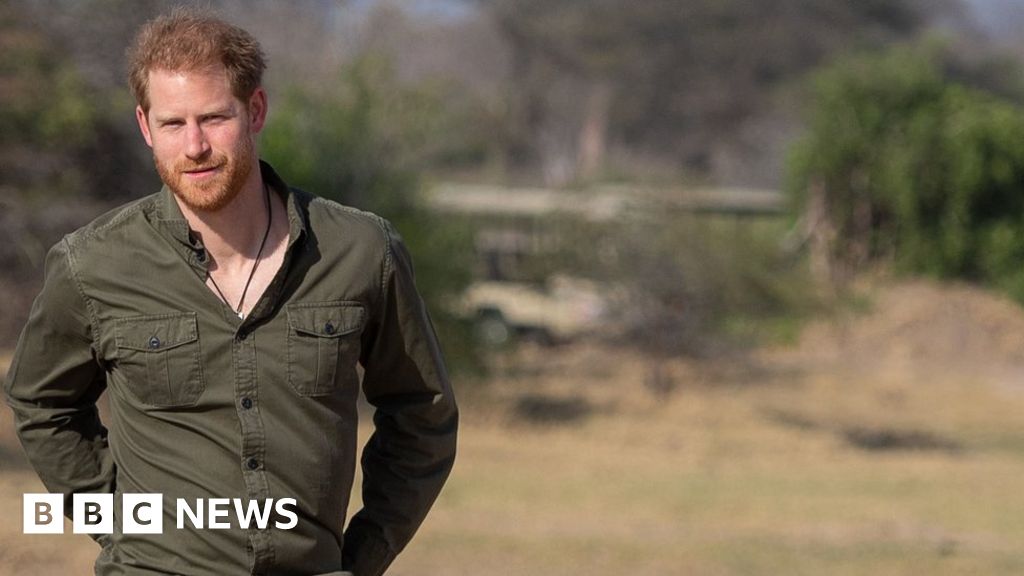 Prince Harry: Protecting nature doesn't make me a hippy