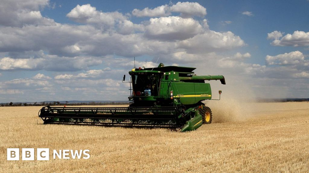Australia launches WTO appeal against China's barley tariff