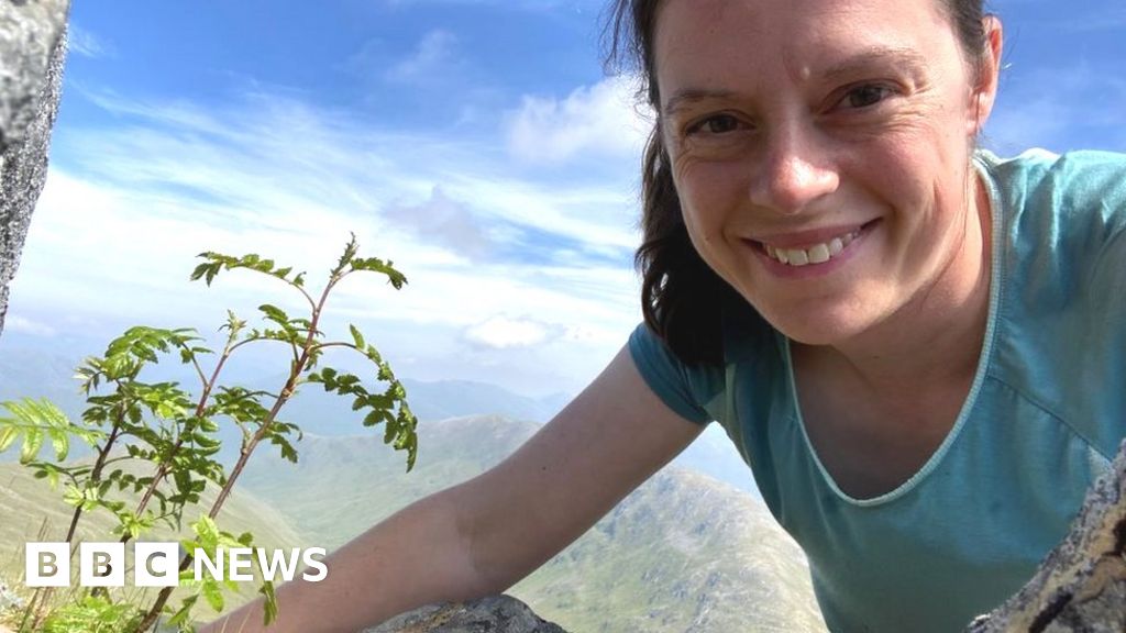 Trees found growing at record altitudes up Scotland's Munros