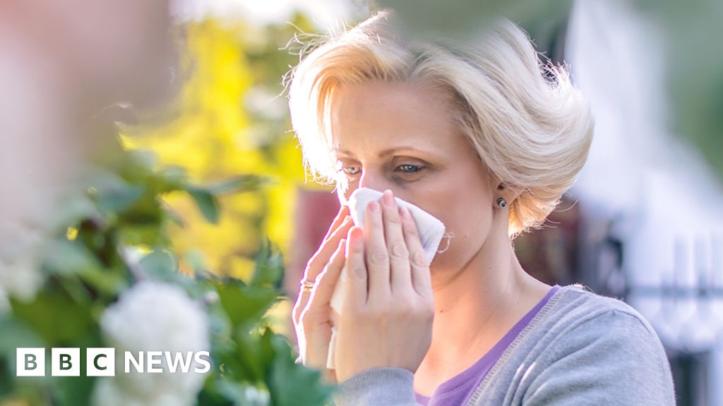 Number of hay-fever sufferers seeking NHS advice triples
