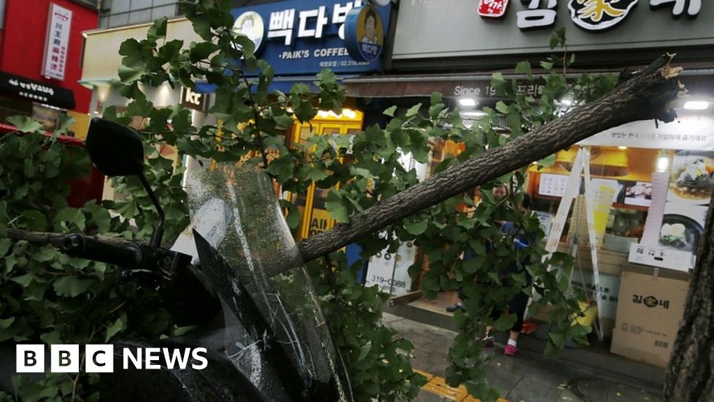 Typhoon Lingling: North Korea on alert as storm threatens crops