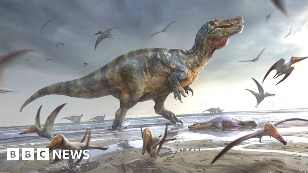 Europe’s ‘largest ever’ land dinosaur found on Isle of Wight