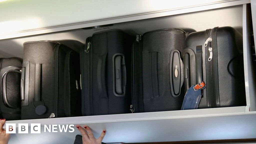 Dog dies on plane in overhead locker