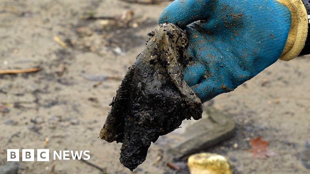 Plastics in wet wipes should be banned, says Labour MP BBC News