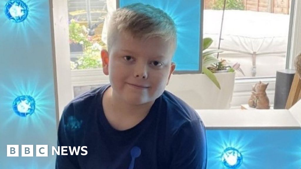 Fox returns home after failed tumour treatment trip