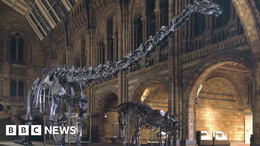 kelvingrove museum dinosaurs
