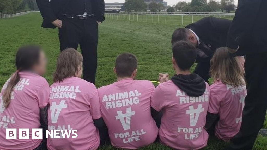 Doncaster Racecourse protest Animal rights activists to stand trial