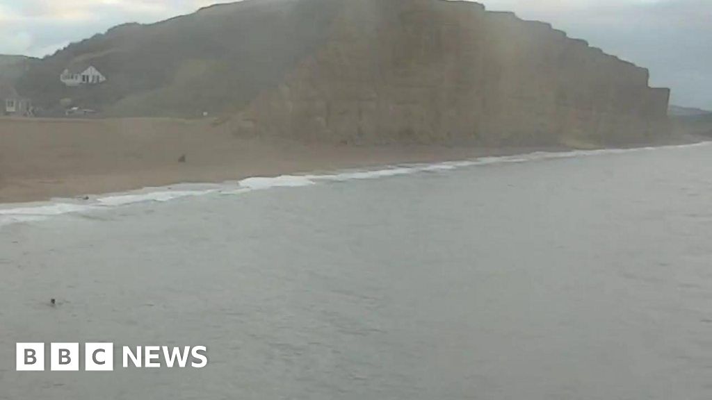 Large section of cliff collapses at West Bay on Jurassic Coast