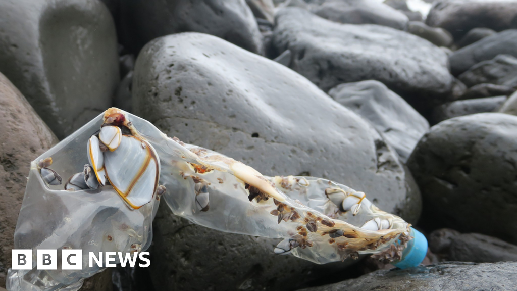 Island reveals rising tide of plastic waste