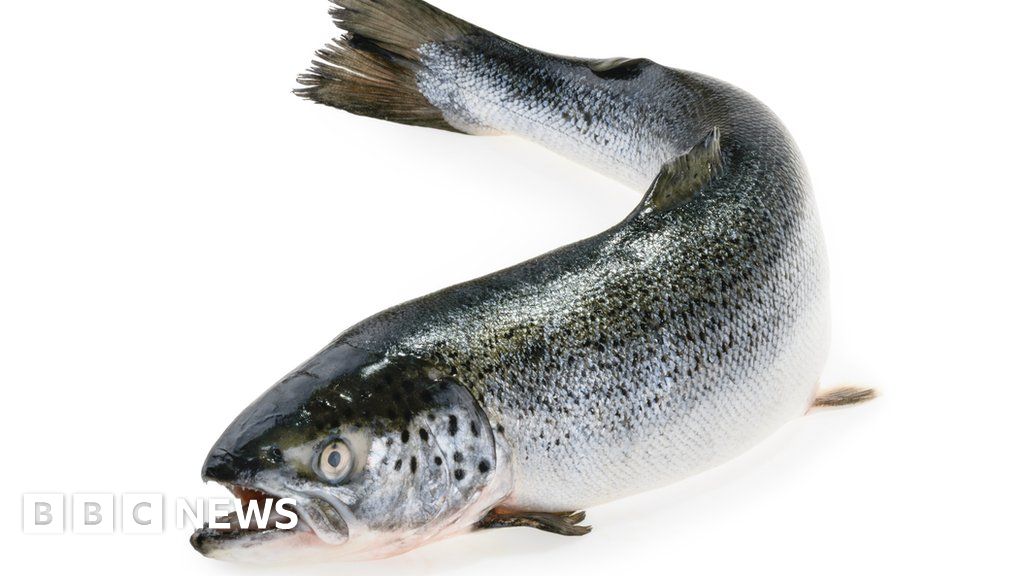 Twenty tonnes of salmon 'missing' after crash in Argyll