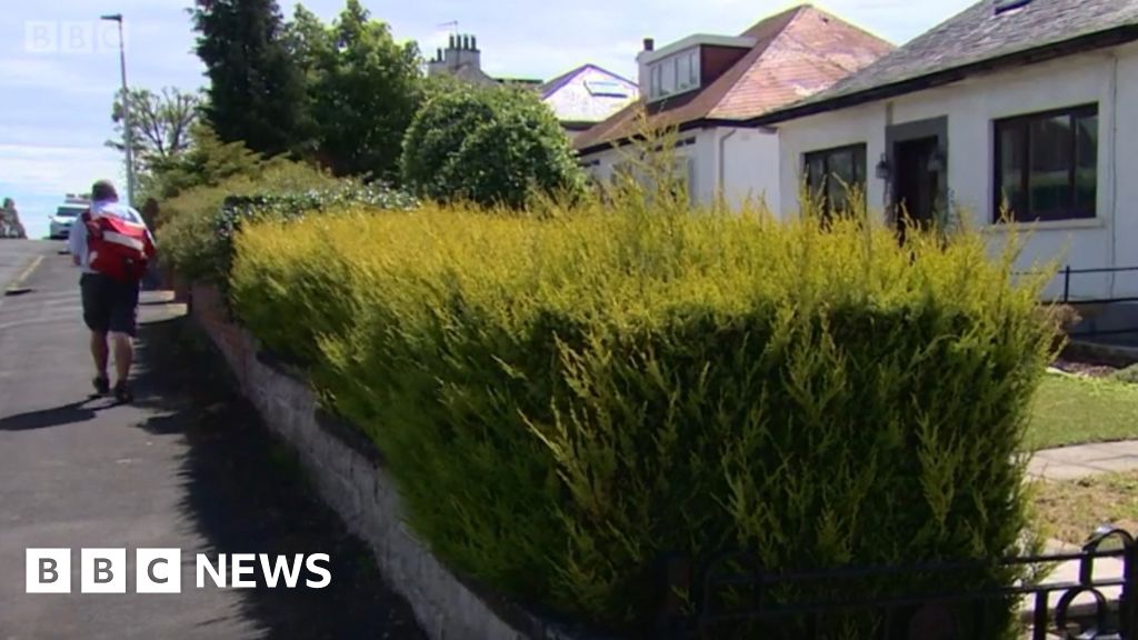 Dogs attack hundreds of postal workers each year