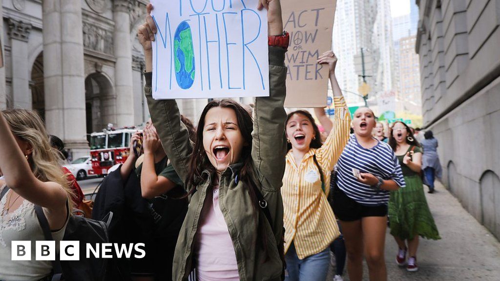 Climate strike: Protests in cities across the world