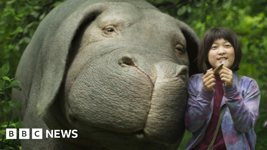 Okja: A genetic super pig and the environment - BBC News
