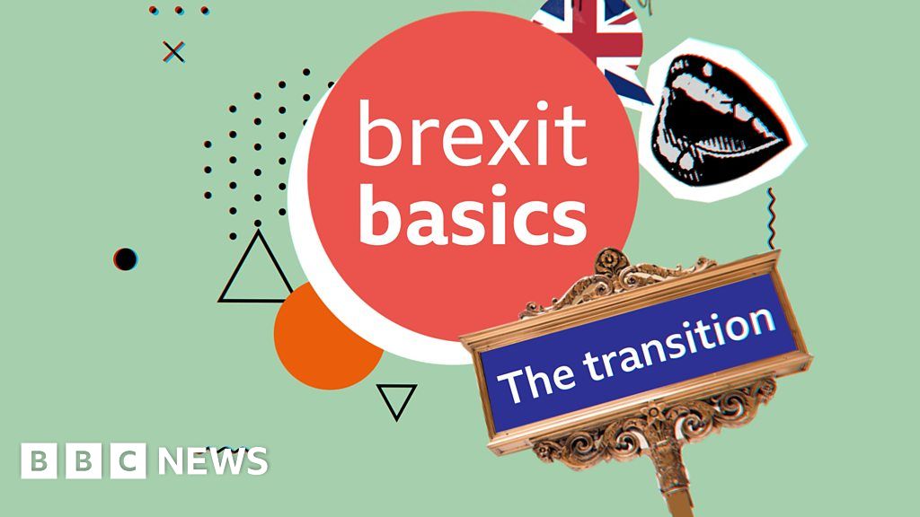 Brexit Basics The Transition Period Explained Bbc News