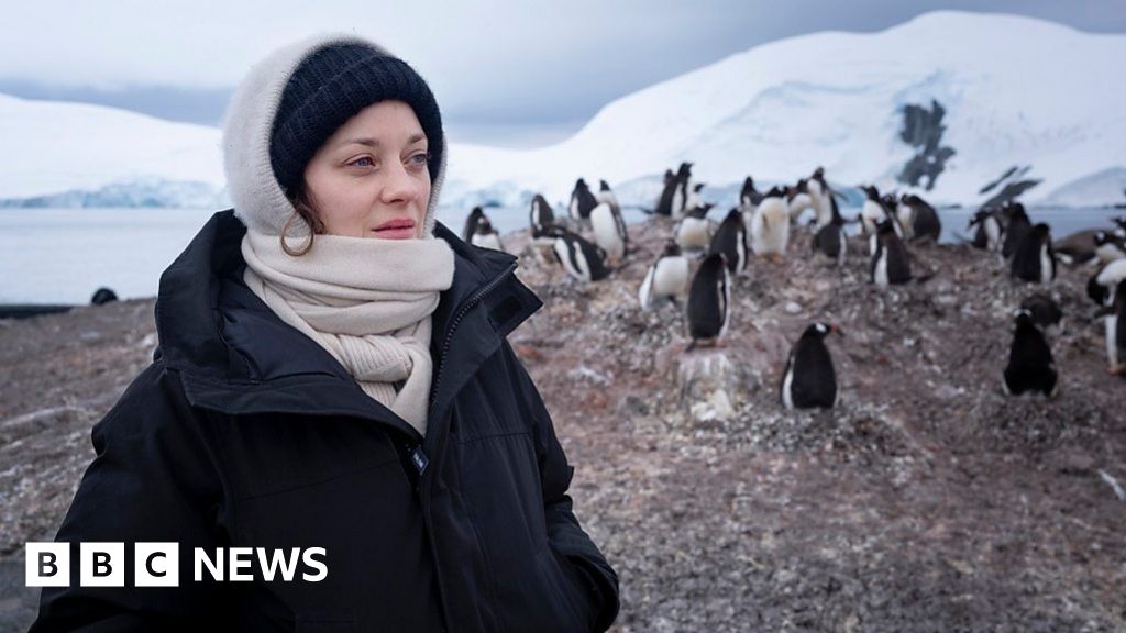 Climate change: 'We're not perfect', says Marion Cotillard on Antarctica trip