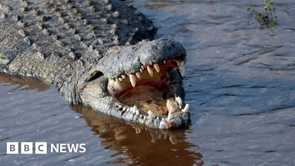 Kenya’s Lake Baringo: Surviving hippo and crocodile attacks