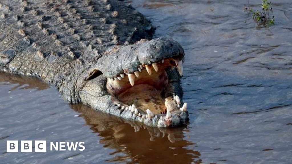 Kenya's Lake Baringo: Surviving hippo and crocodile attacks