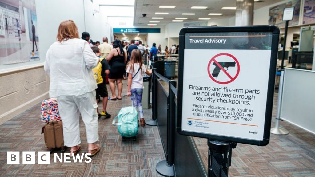 US airport finds gun stuffed in chicken by traveller