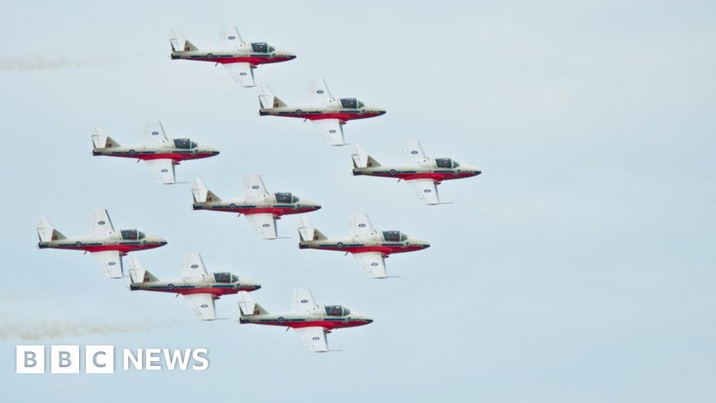 Canadian Snowbirds acrobatic jet crashes in residential area