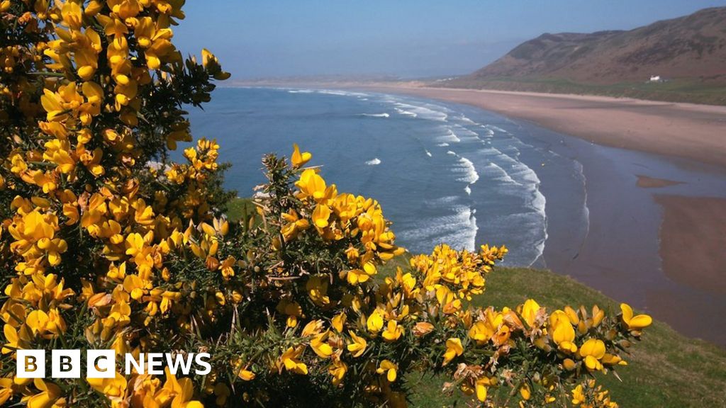 Seats That Could Shape Wales General Election BBC News    96004356 Gettyimages 80499908 