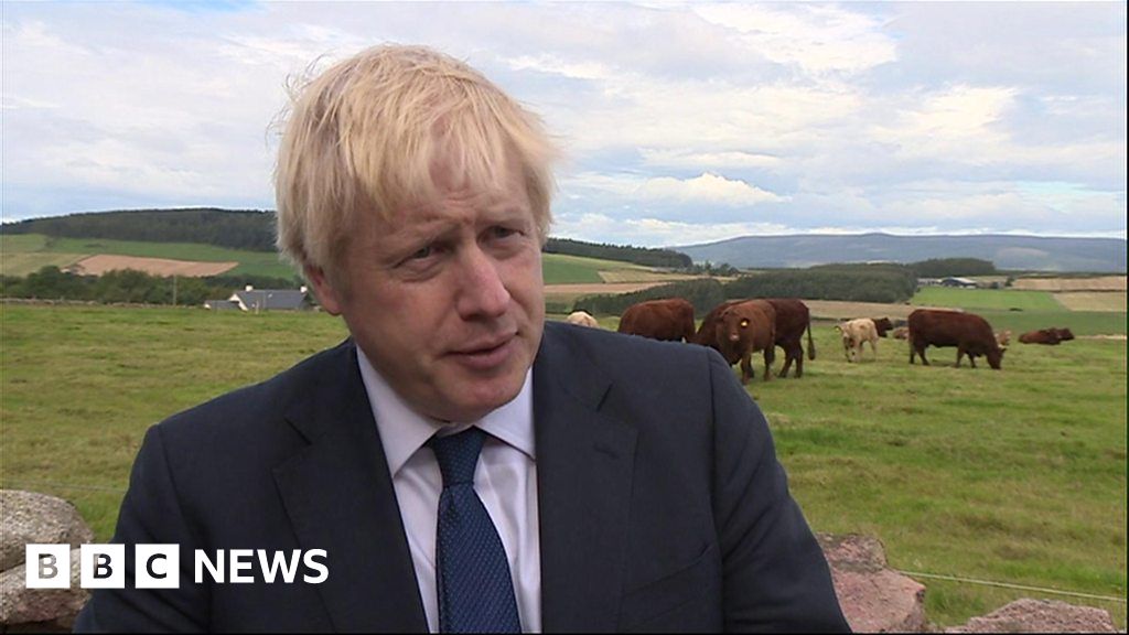 Boris Johnson Removing Whip Grieved Me Deeply Bbc News