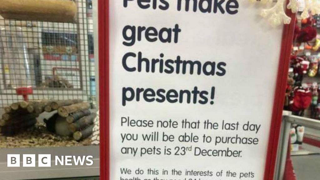 Jollyes pet shop in Bedford removes 'pets as gifts' sign BBC News