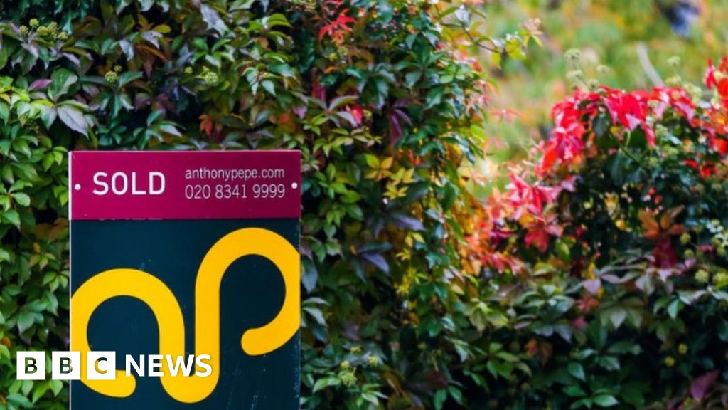 , House prices rise as Covid sparks rural relocation, Saubio Making Wealth
