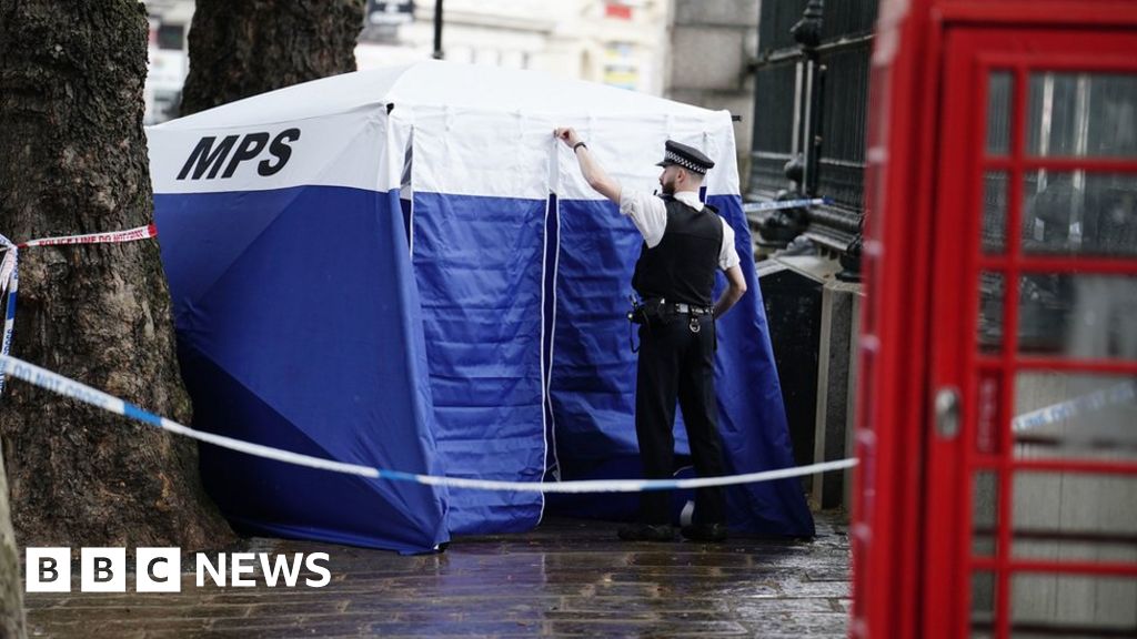 British Museum: Man In Court Over Stabbing Of Tourist