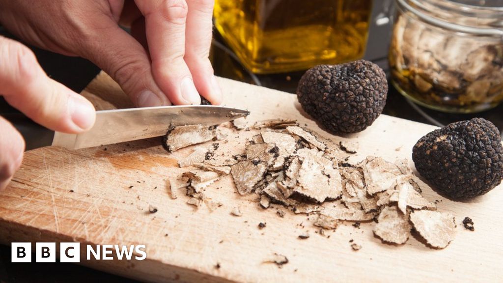 Truffle tree pension scam cost victims tens of thousands BBC News