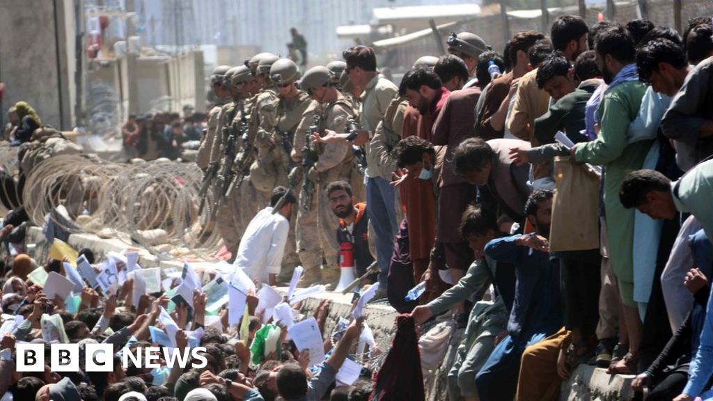 Foreign Office 'regrets' Afghanistan Nowzad animal charity row