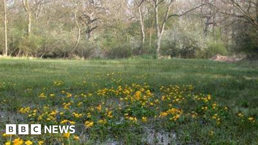 New homes may have 'devastating impact' on nature