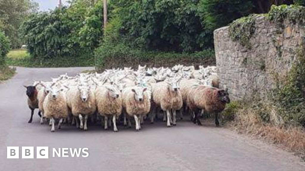 Somerset village life portrayed in photography exhibition